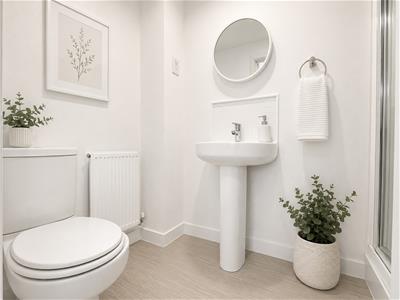 Picture 12